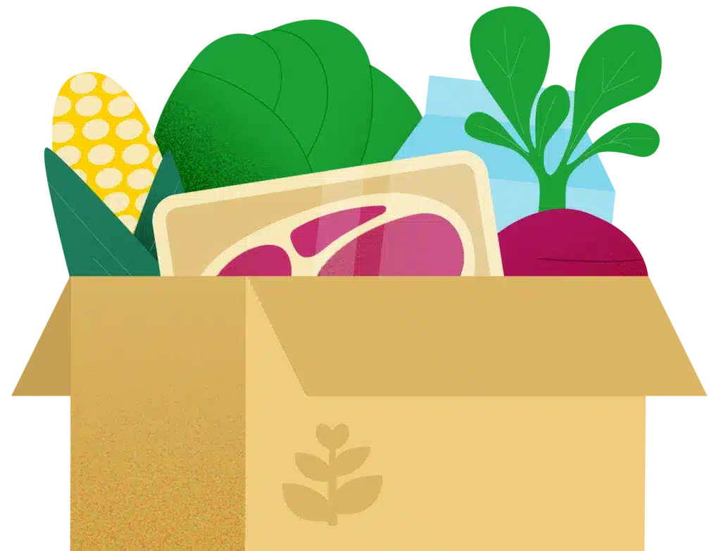 box of food illustration