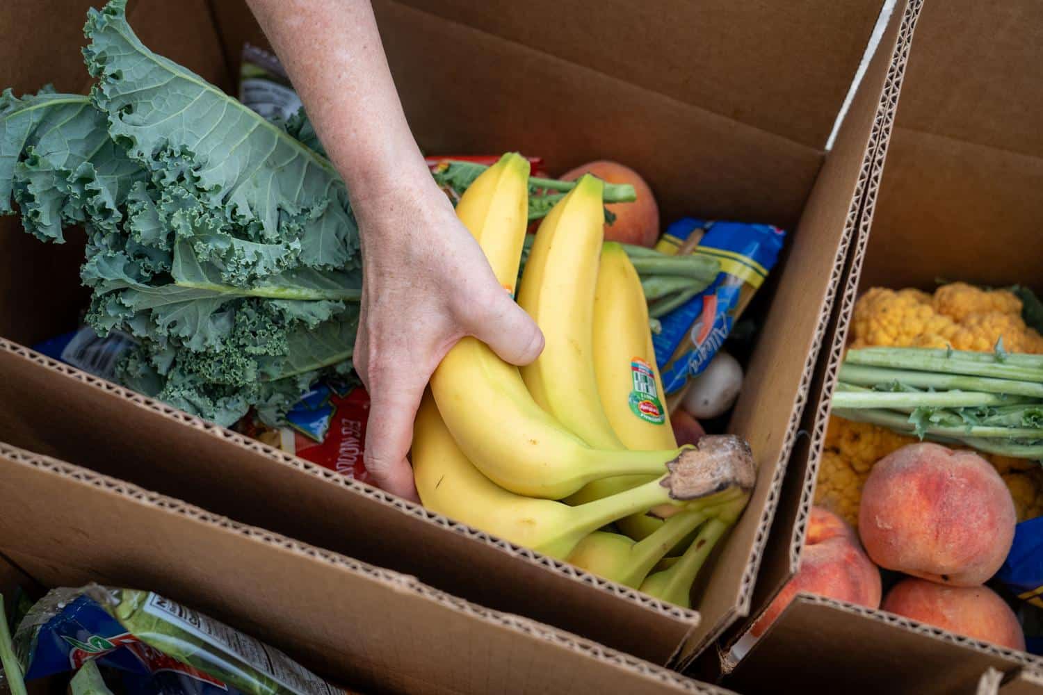 Produce in food distribution boxes