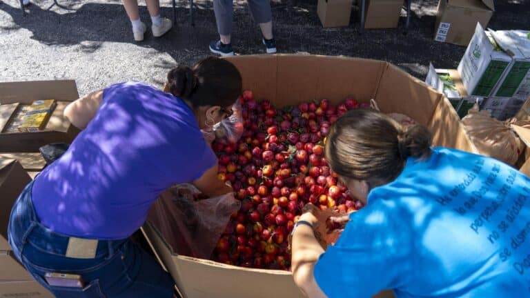 kids picking apples from a bin